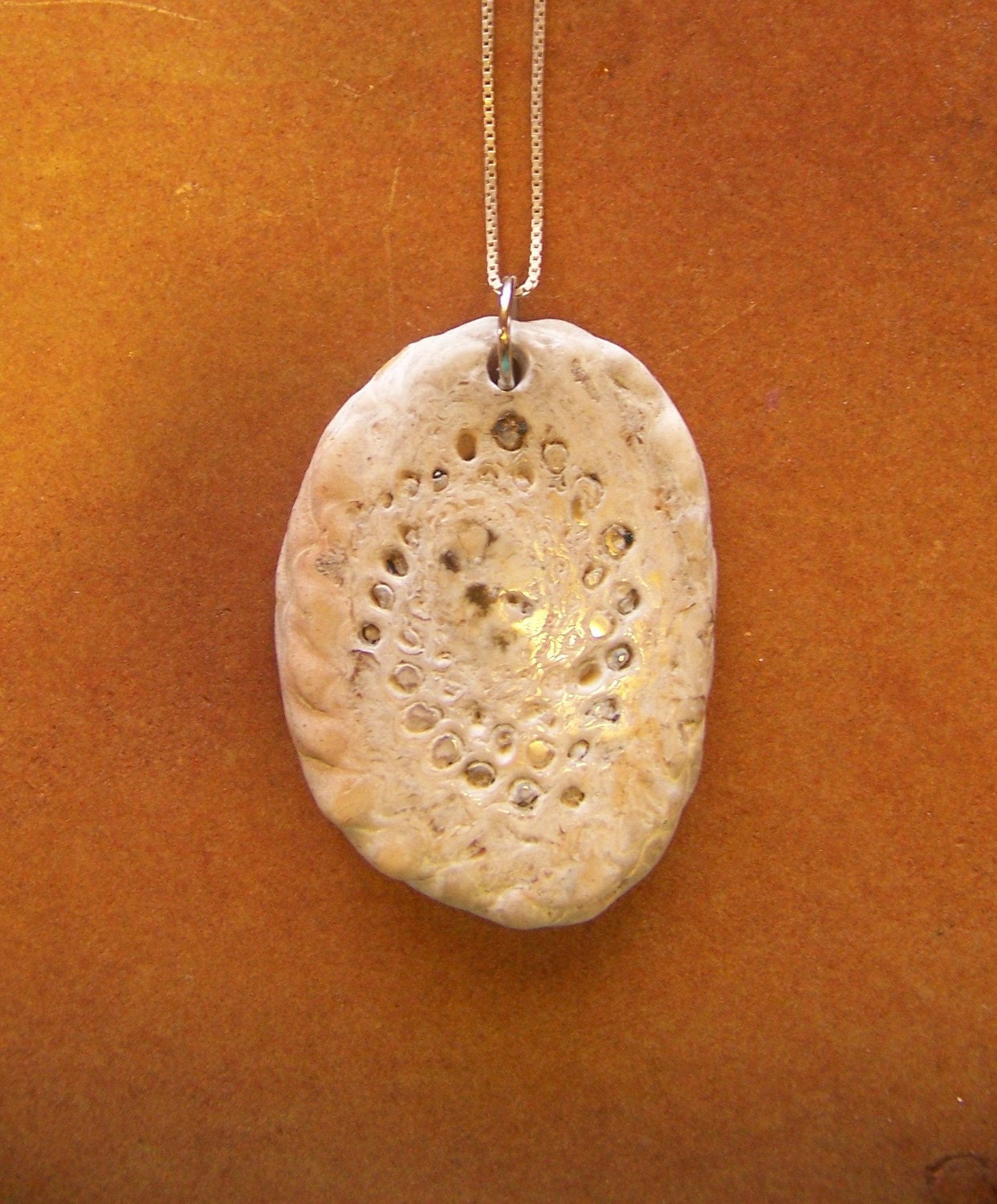 Cycad fossil  pendant and necklace sterling silver 2-3 day shipping gift wrap too