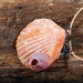 Shell Necklace Mermaid  - Bohemian Jewelry large chunky orange beach shell purple barnacle Pendant Strange Pirate Treasures unique OOAK