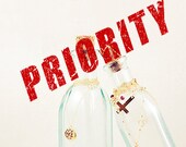 Domestic Priority Shipping Upgrade