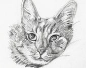 Custom Pet Portrait - Sketch From Your Photo in Pencil - Or Person Portrait