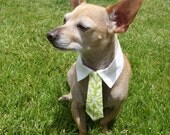Custom Interchangeable Green and Ivory Dog Tie and Collar Set