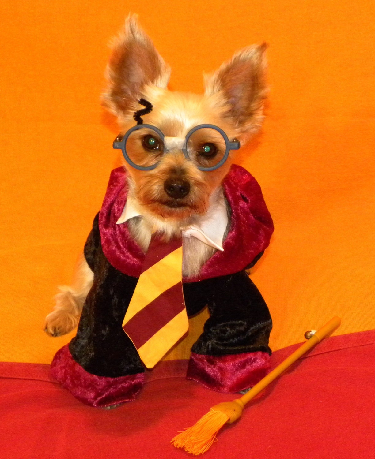 Harry Pawter Dog Costume ALL SIZES AVAILABLE