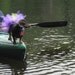 Tutu for the EXTREME Puppy