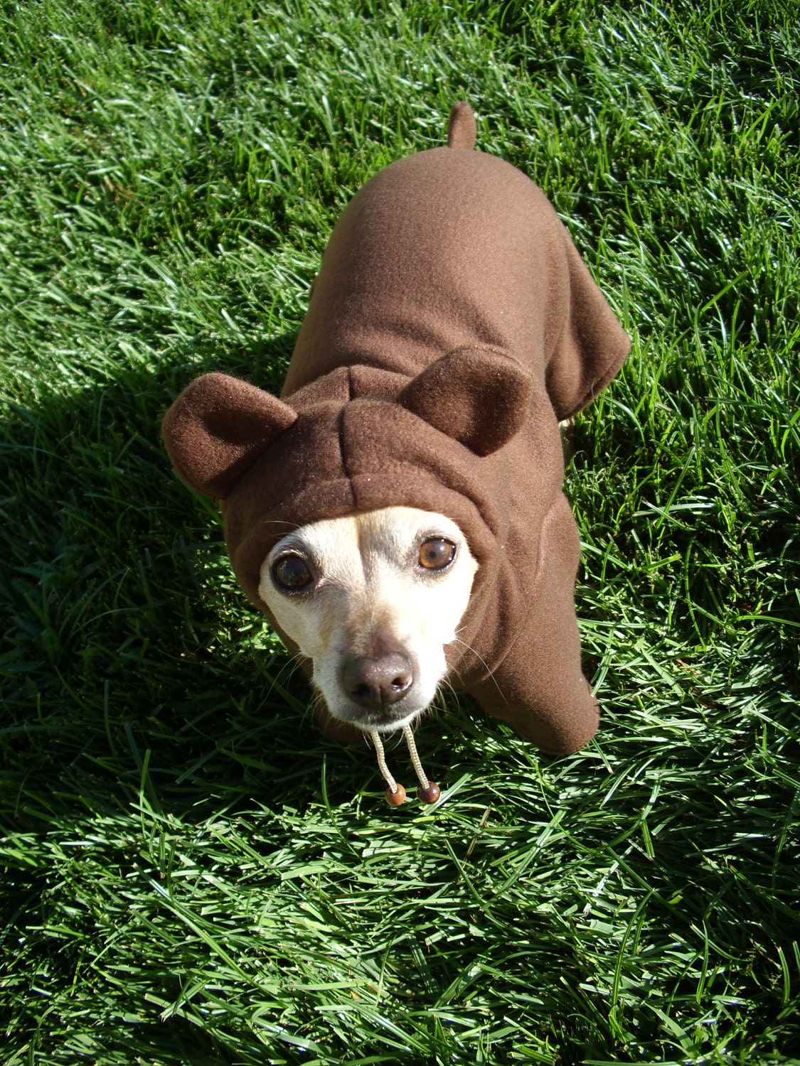 Items similar to Teddy Bear Dog Costume Pet Costume ALL SIZES AVAILABLE