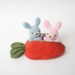 Two Small Crochet Amigurumi Bunny Rabbit in Orange Carrot Purse/Zipper Pouch Gift Set / Stuffed Toys - MADE TO ORDER, Choose your own color