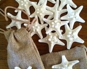Starfish hair clip - girls party favor set of six - individually and beautifully packaged by IndianSummerGirls