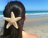 XLarge Natural Sugar Star Fish Hair Clip by IndianSummerGirls