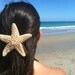XLarge Natural Sugar Star Fish Hair Clip by IndianSummerGirls