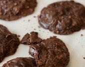 Rich Double Chocolate Chip Cookies (Gluten & Dairy Free)