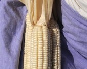 Heirloom Corn Meal   Hickory King White