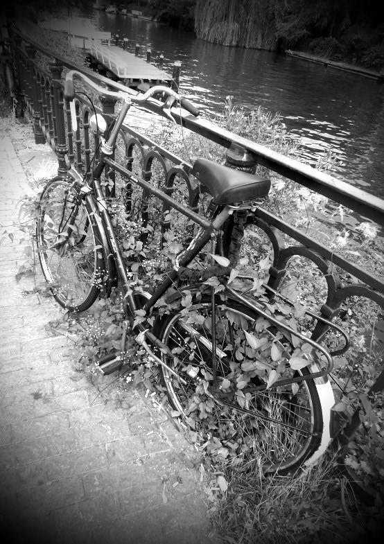 Abandoned Bicycle in Amsterdam, The Netherlands - Fine Art Photography 8x10" Matte Print, Old Bike in Holland