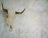 Vintage Cow Skull, Fine Art 8x10" Matte Photographic Print - Southwestern Photography, Gift Idea for Guys, Gifts Under 25