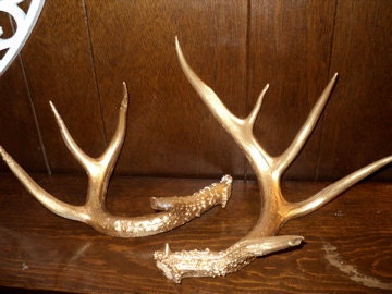 Modern Metallic Gold Painted Antler Set