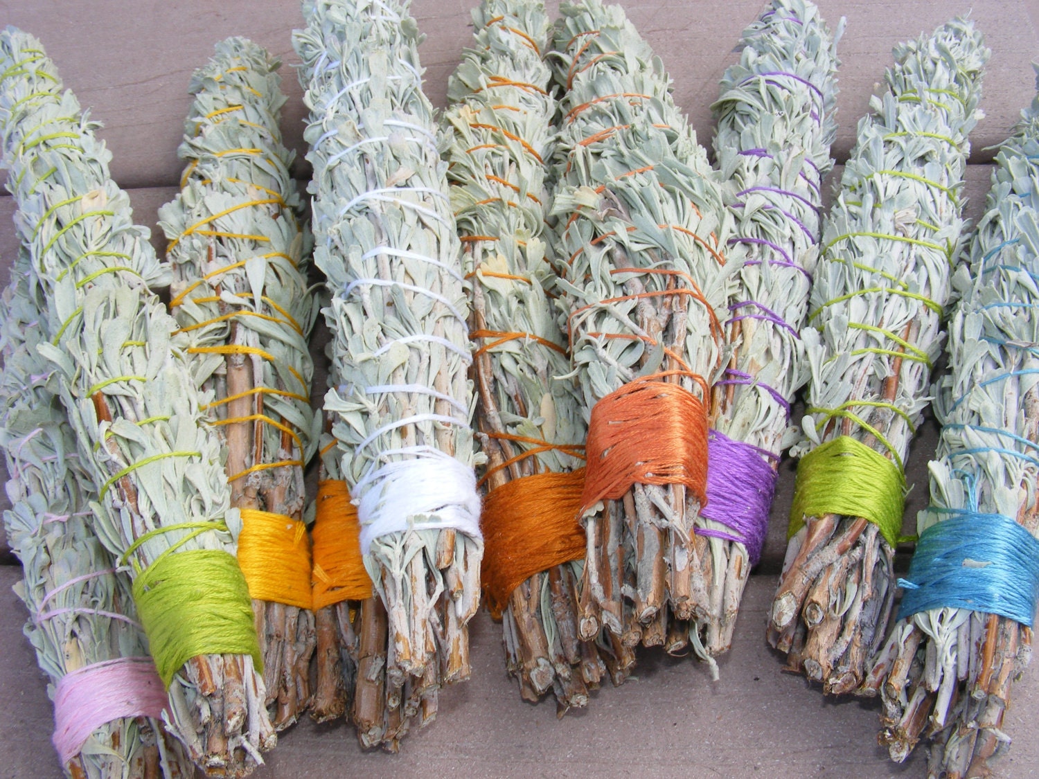Fresh Western Sage Smudge Sticks