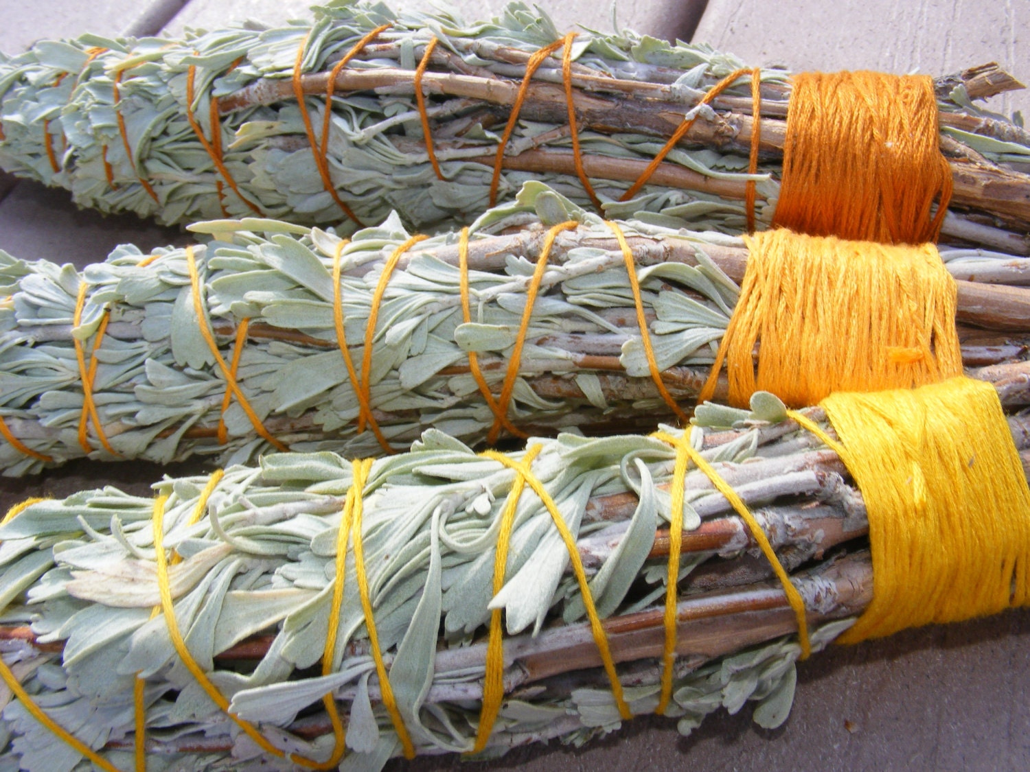 Fresh Western Sage Smudge Sticks