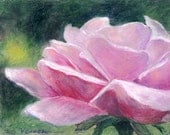 Pink Rose Flower Oil Pastel Painting, 8x10 Art Print on Textured Watercolor Paper, Floral Artwork by Vickie Sue Cheek