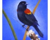 Red-Winged Blackbird & Cattail Original 8x8 Acrylic Painting on Gallery Wrapped Canvas