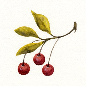 Cherries Fruit Watercolor Painting, 6x6 Art Print from Original Artwork 'Fresh Cherries' Still Life by Vickie Sue Cheek