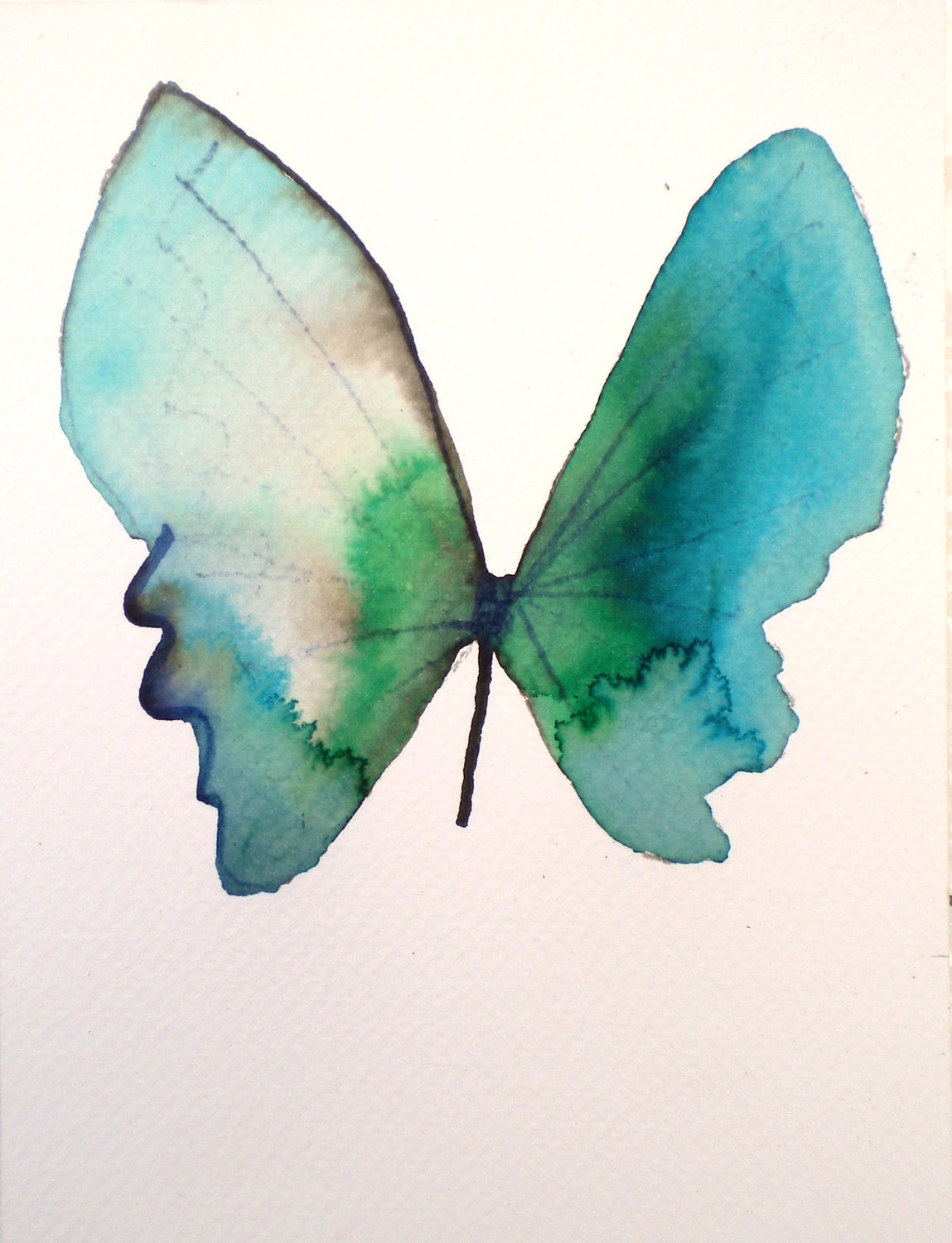 turquoise blue and green butterfly with white wing 5x7"