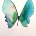 turquoise blue and green butterfly with white wing 5x7"