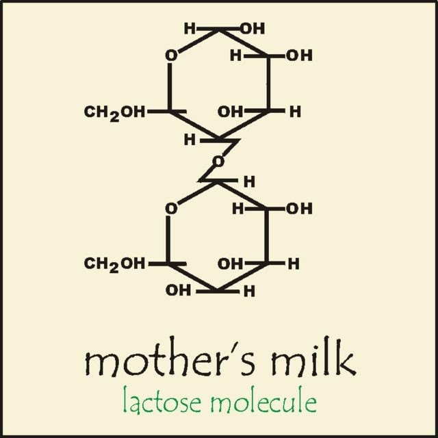 Mothers Milk - Organic Lactose Molecule Baby Onesie