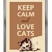Keep calm and love cat