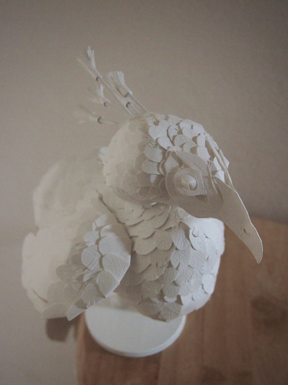 Paperdermy Peacock
