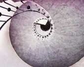Purple spiral, abstract photograph, tower staircase, 8x8, Giclée, titled:Spiral in Purple