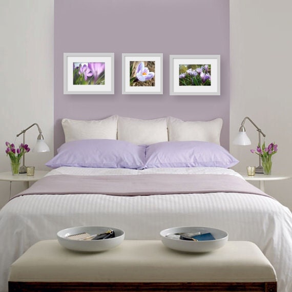 Crocus flower photograph, fine art, nature photograph, floral print, purple and white Giclee print, 8x8, square - titled: Crocus III