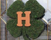 Personalized Irish Wreath.  St. Patricks Day Wreath -  Moss Covered Wood Shamrock with Monogram.