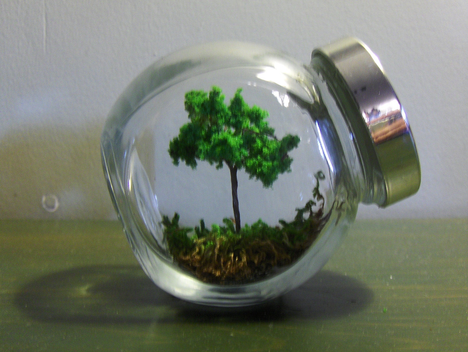 A shady spot. "no care terrarium"