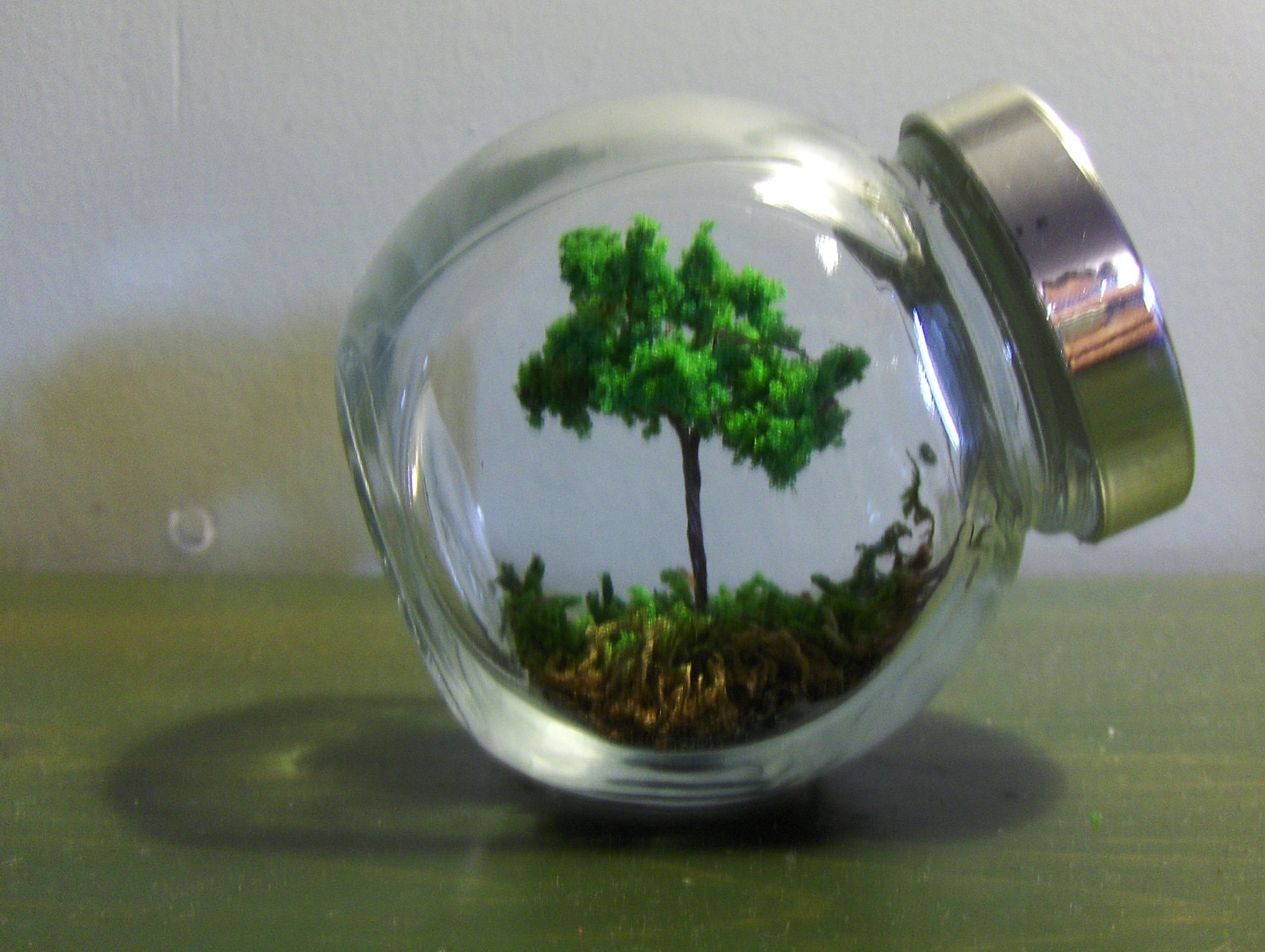 A shady spot. "no care terrarium"