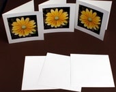 Pack of 3 Yellow Chrysanthemum Greetings Card/Notelet Blank for your own message any occasion