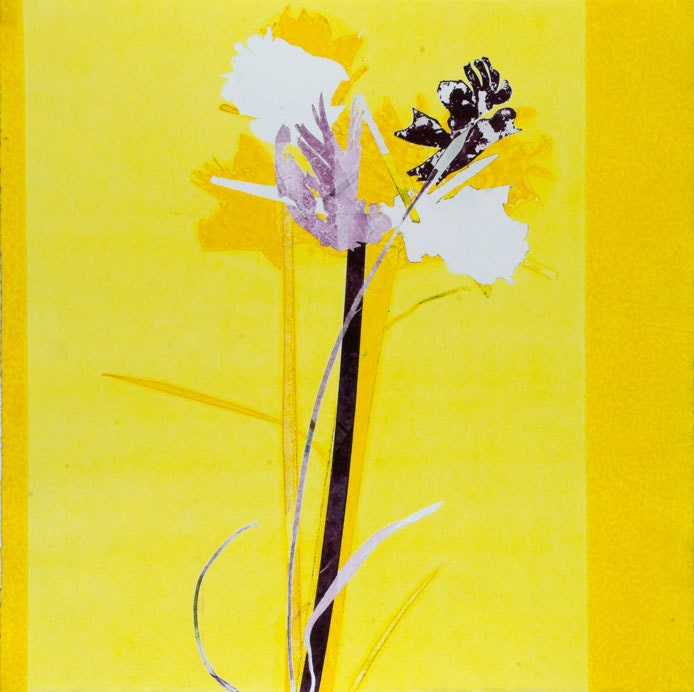Pursed Lips: Delightful, Punchy flowers