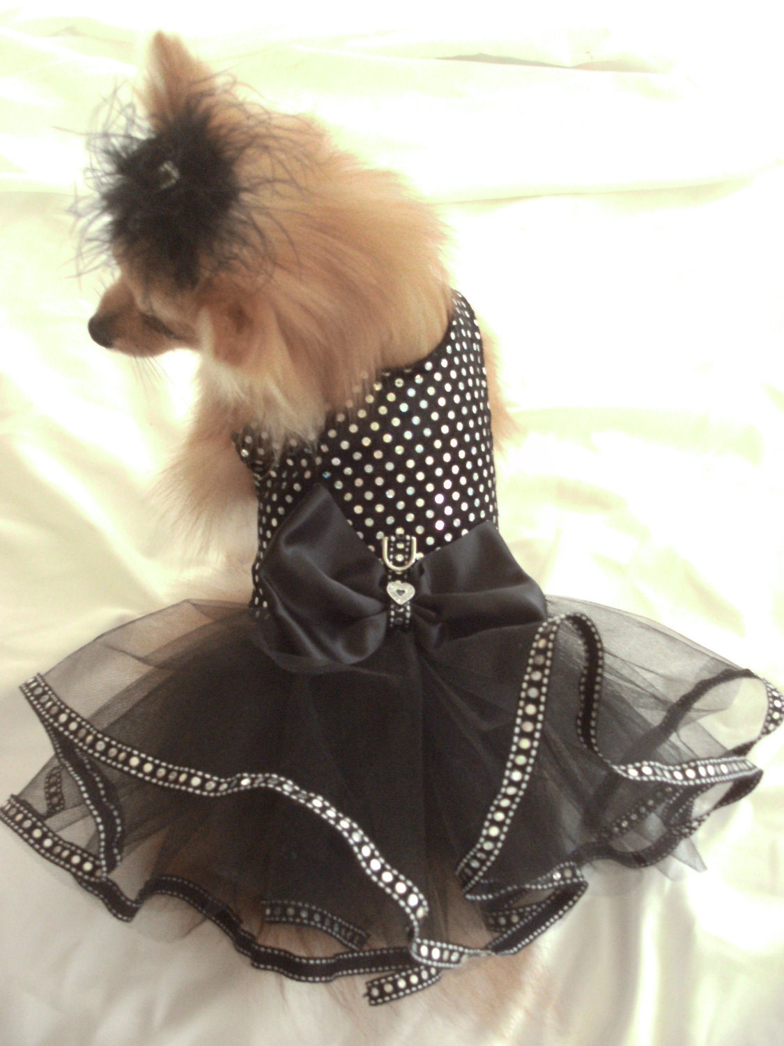 Gorgeous, elegant, black harness tutu dress, Size S/M,  Pink Punk Puppy Designs