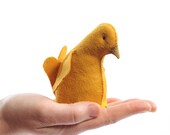 Canary kit