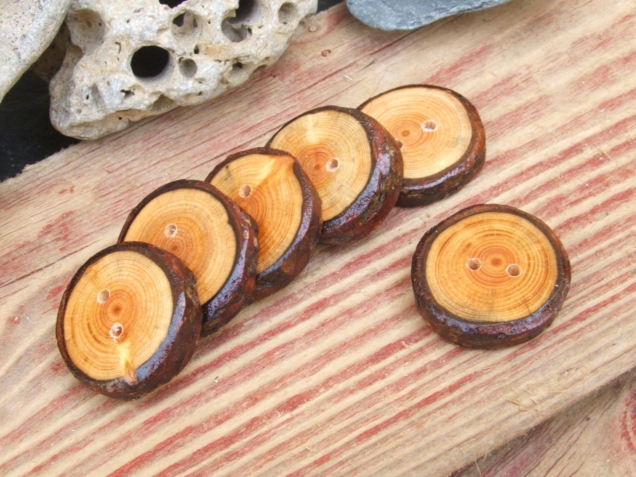 1 1/4 inch Handmade Tree Branch Larch Wood Buttons