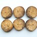 Spalted Oak Buttons, Beautiful and rustic. 6 x 1 1/2 inch