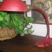 Vintage Desk Lamp