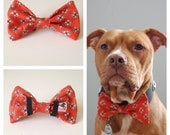 Orange Fun Boys Will Be Boys Bow Tie Collar Accessory for Pets