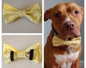 Yellow and White Boys Will Be Boys Bow Tie Collar Accessory for Pets