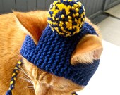 Pom Pom Cat Hat - Navy and Yellow