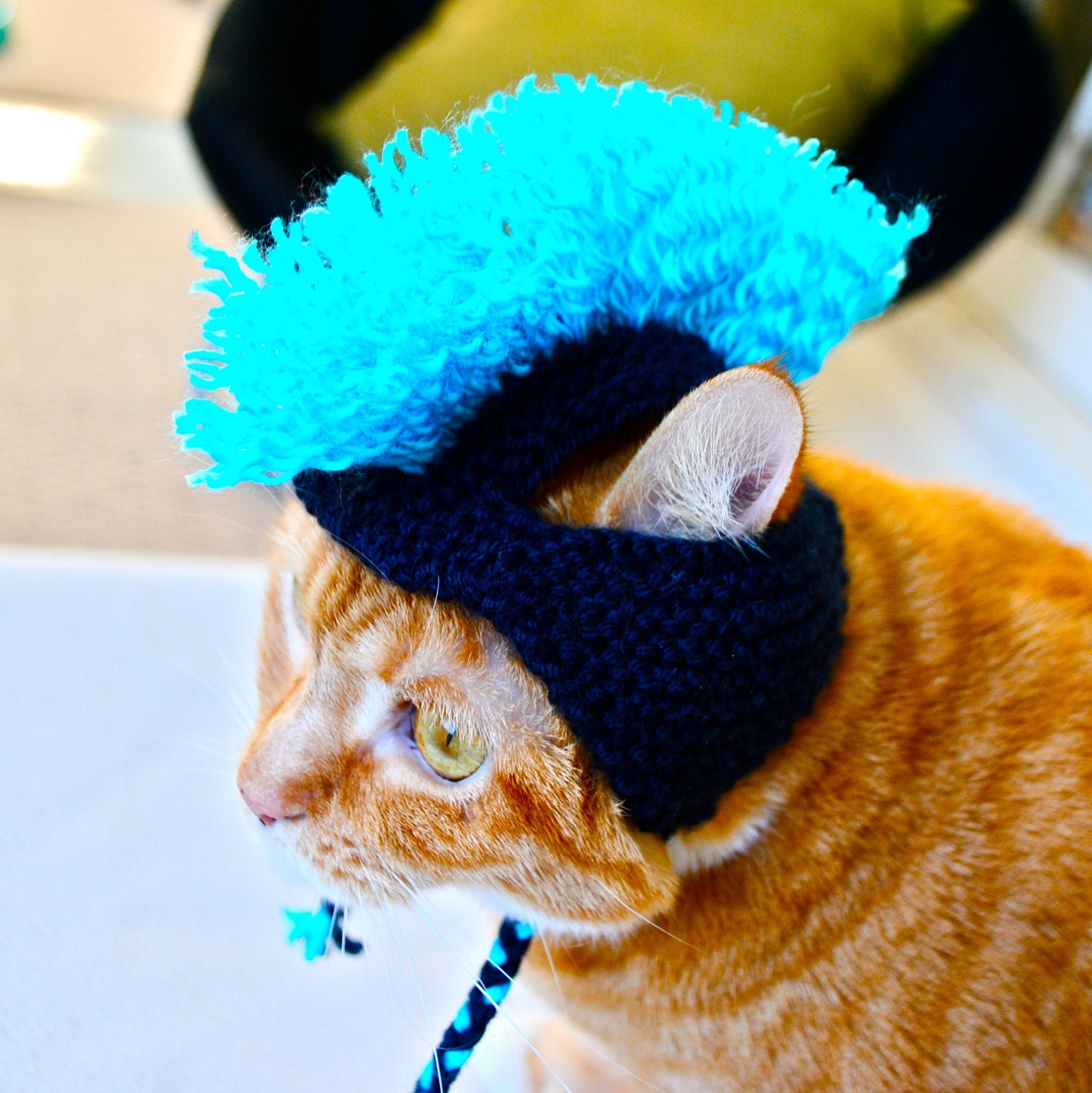 Mohawk Cat Hat - Navy and Aqua