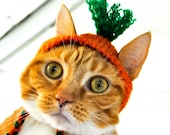 Carrot Costume - Cat
