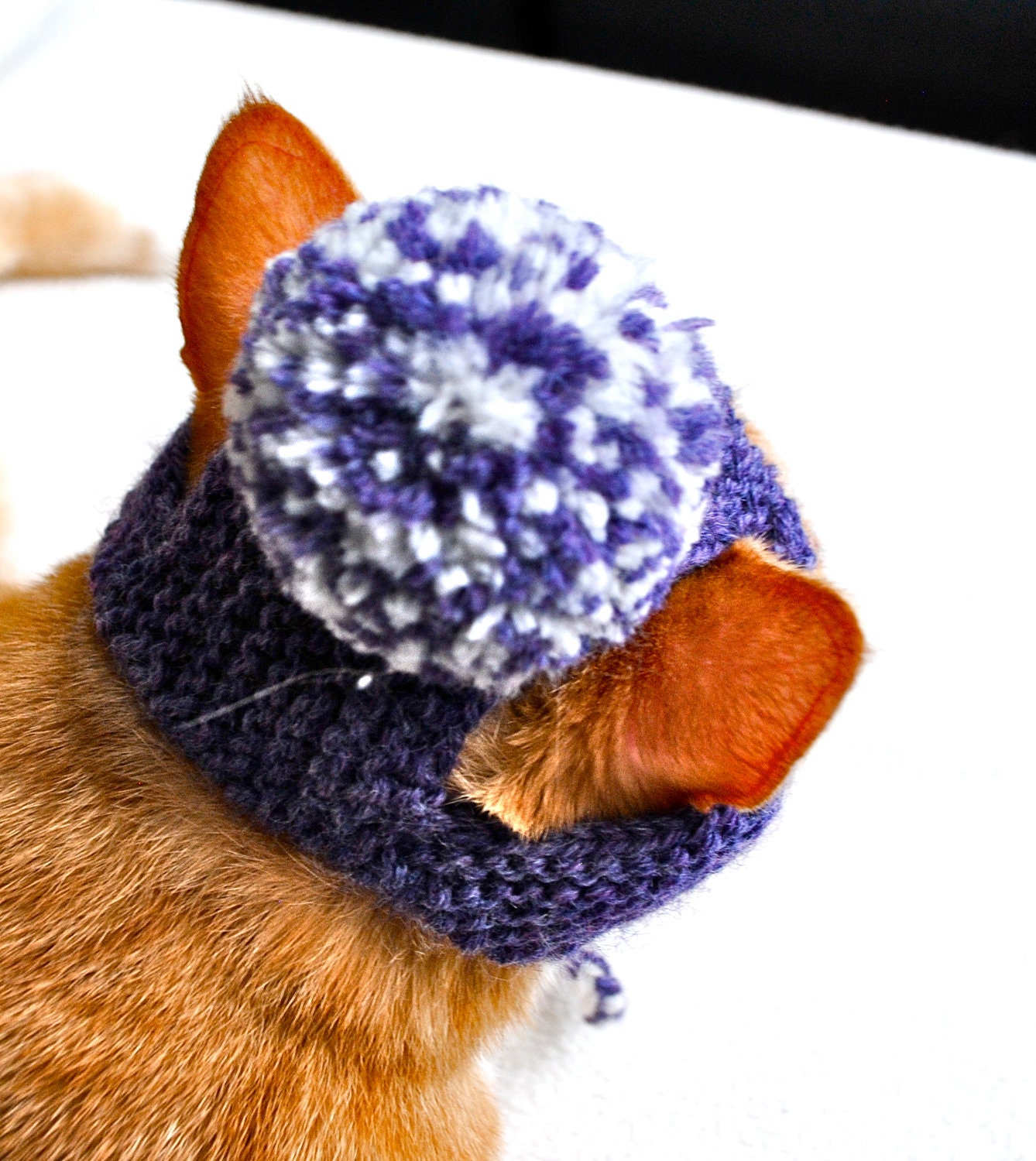Pom Pom Cat Hat - Purple and White