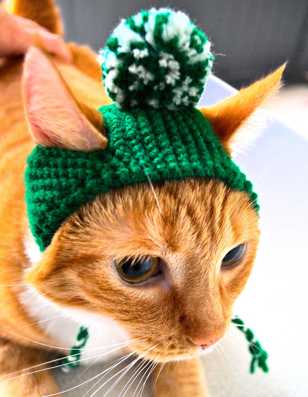 Pom Pom Cat Hat - Green and White