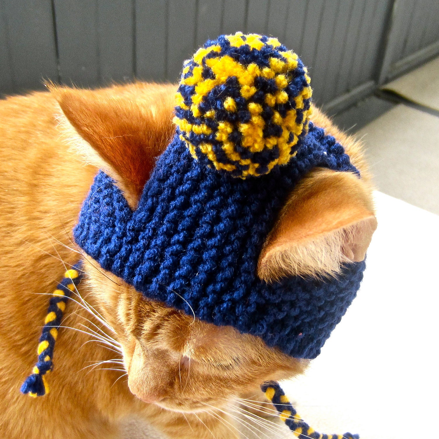 Pom Pom Cat Hat - Navy and Yellow