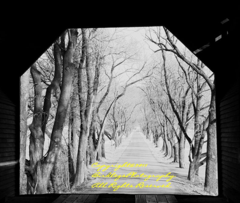 A View from the Covered Bridge