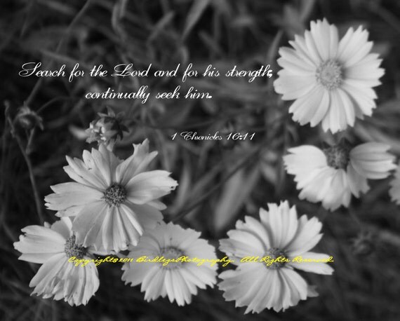 Items similar to Angelita Daisies in Black and White with Bible Verse