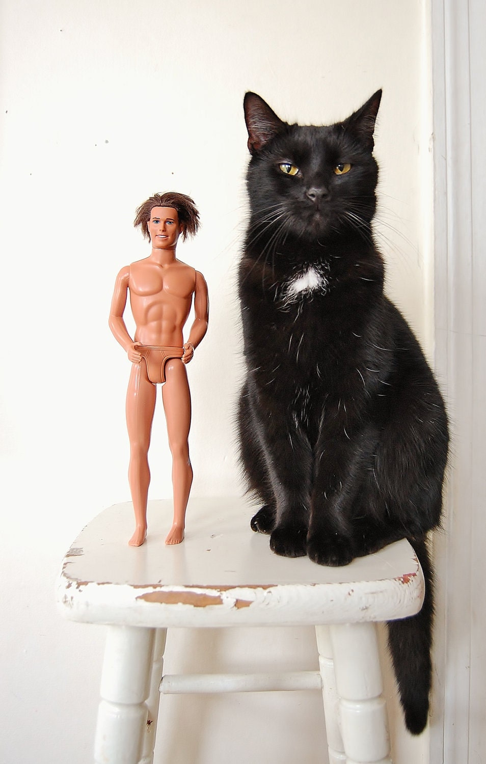 Ken Doll Brunette Hair Mattel Toy Free Cat Hair